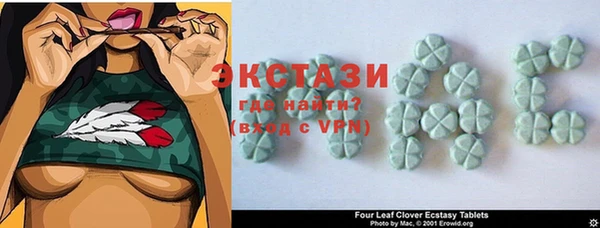 хмурый Аркадак