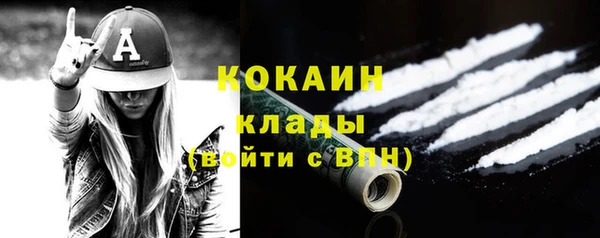 хмурый Аркадак