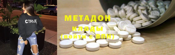 хмурый Аркадак