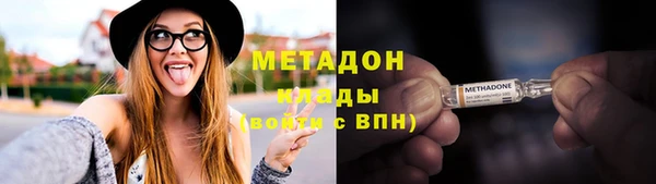 хмурый Аркадак