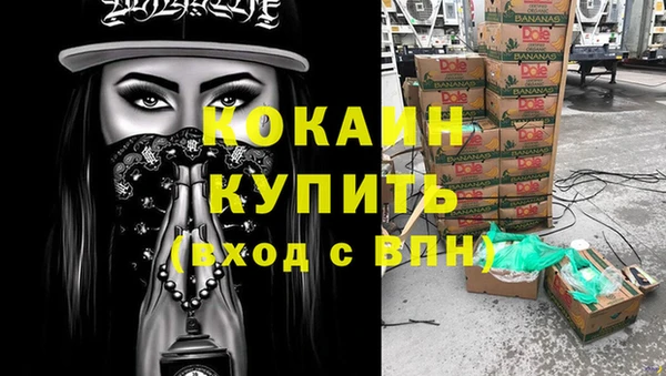 хмурый Аркадак
