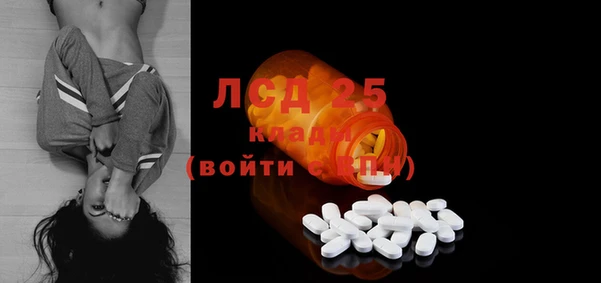 хмурый Аркадак