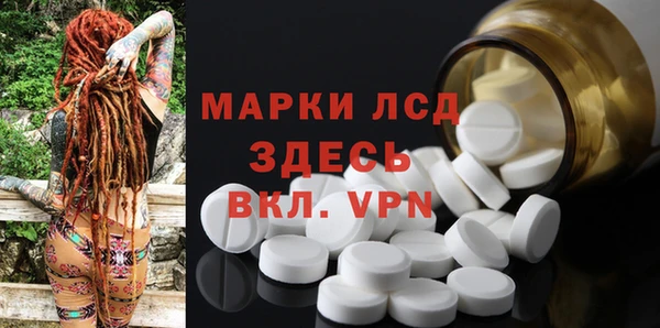 хмурый Аркадак