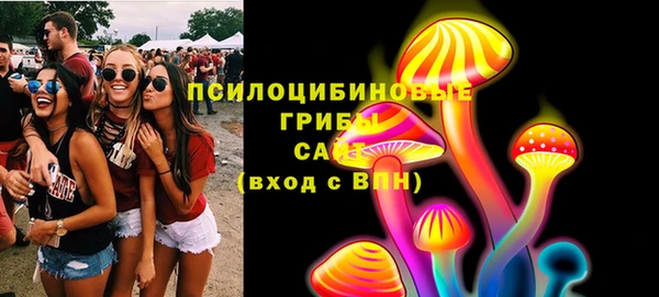 хмурый Аркадак