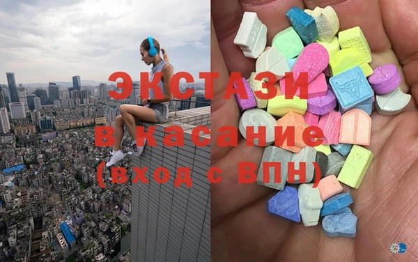 хмурый Аркадак