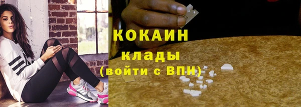 ешки Арсеньев